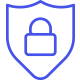 Icon: Security and Privacy